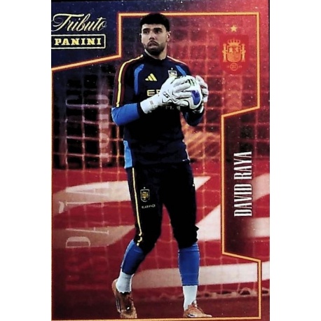 David Raya Tributo La Roja 38