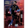 Oferta Cards Mundial Remiro Tributo La Roja Panini Vamos Campeones