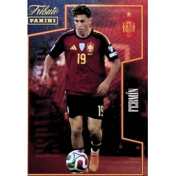 Oferta Cards Mundial Fermín Tributo La Roja Tributo La Roja 2026