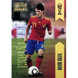 David Silva Tributo Sudáfrica 21