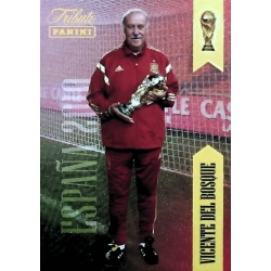 Vicente del Bosque Tributo Sudáfrica 24