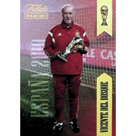 Vicente del Bosque Tributo Sudáfrica 24