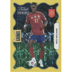 Collect Them Nico Williams Supra Kromix Gold Panini Tributo Vamos Campeones 2010 2026
