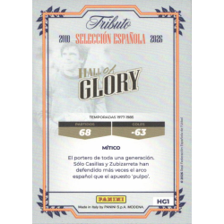 Venta Cards Mundial Arkonada Hall of Glory Colección Oficial Selección Española Panin