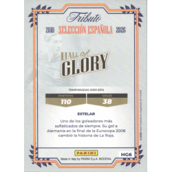 Official Sticker Fernando Torres Hall of Glory Panini Tributo Vamos Campeones 2010 2026
