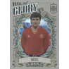 Easy shopping Michel Hall of Glory Panini Vamos Campeones