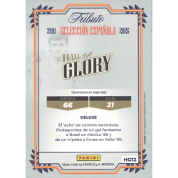 Easy shopping Michel Hall of Glory Panini Vamos Campeones