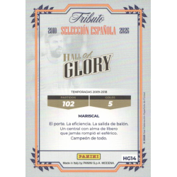Buy Now Piqué Hall of Glory Colección Oficial Selección Española Panin
