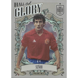 Consigue ahora Señor Hall of Glory Panini Vamos Campeones