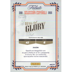 Consigue ahora Señor Hall of Glory Panini Vamos Campeones