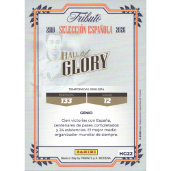 Collect Them Xavi Hall of Glory Colección Oficial Selección Española Panin
