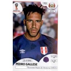 Pedro Gallese Peru 234