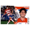 Mainz Granada 7 Ediciones Este 2015-16