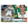 Pelegrín Elche 5  Ediciones Este 2013-14