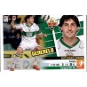 Generelo Elche 9  Ediciones Este 2013-14
