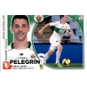 Pelegrin Elche 6  Ediciones Este 2014-15