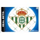 Betis Liga Adelante 5 Ediciones Este 2014-15