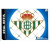 Betis Liga Adelante 5  Ediciones Este 2014-15