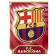 Emblem Barcelona Ediciones Este 2011-12