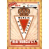 Murcia Escudo 2ª División 432 Megacracks 2013-14