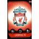 Emblem Liverpool LIV 1 Match Attax Champions 2019-20