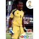 Vincent Enyeama Nigeria 263 Adrenalyn XL Brasil 2014