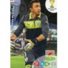 Fernando Muslera Uruguay 305 Adrenalyn XL Brasil 2014