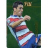 Piti Granada Gold Star Brillo Liso Limited Edition Las Fichas Quiz Liga 2016 Official Quiz Game Collection