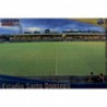 Santo Domingo Smooth Shine Alcorcón 881 Las Fichas de la Liga 2012 Platinum Official Quiz Game Collection