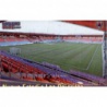 N.E. Los Pajaritos Brillo Letras Numancia 902 Las Fichas de la Liga 2012 Platinum Official Quiz Game Collection