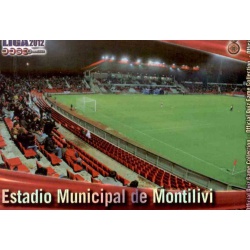 Municipal de Montilivi Brillo Rayas Horizontales Girona 923 Las Fichas de la Liga 2012 Platinum Official Quiz Game Collection