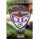 Escudo Brillo Rayas Horizontales Guadalajara 1153 Las Fichas de la Liga 2012 Platinum Official Quiz Game Collection