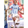 Mathijsen Bajas Málaga 88 Las Fichas de la Liga 2013 Official Quiz Game Collection