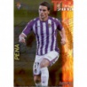 Peña Top Dorado Valladolid 585 Las Fichas de la Liga 2013 Official Quiz Game Collection