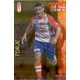 Torje Top Dorado Granada 634 Las Fichas de la Liga 2013 Official Quiz Game Collection