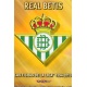 Escudo Mate Betis 325 Las Fichas de la Liga 2013 Official Quiz Game Collection