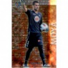 Moyá Superstar Brillo Letras Getafe 293 Las Fichas de la Liga 2013 Official Quiz Game Collection