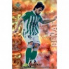 Beñat Superstar Brillo Rayas Horizontales Betis 351 Las Fichas de la Liga 2013 Official Quiz Game Collection