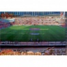 Nuevo Los Carmenes Brillo Cuadros Granada 434 Las Fichas de la Liga 2013 Official Quiz Game Collection