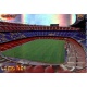 Camp Nou Brillo Rayas Horizontales Barcelona 29 Las Fichas de la Liga 2013 Official Quiz Game Collection