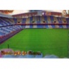Estadio de Riazor Brillo Rayas Horizontales Deportivo 461 Las Fichas de la Liga 2013 Official Quiz Game Collection