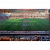 Nuevo Los Carmenes Brillo Liso Granada 434 Las Fichas de la Liga 2013 Official Quiz Game Collection