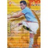 Cabral Top Cuadros Celta 567 Las Fichas de la Liga 2013 Official Quiz Game Collection