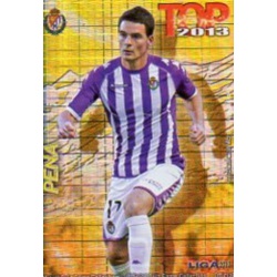 Peña Top Cuadros Valladolid 585 Las Fichas de la Liga 2013 Official Quiz Game Collection