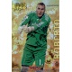 Roberto Gold Star Brillo Liso Zaragoza 41 Las Fichas de la Liga 2013 Official Quiz Game Collection