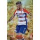 Floro Flores Gold Star Brillo Liso Granada 42 Las Fichas de la Liga 2013 Official Quiz Game Collection
