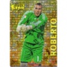 Roberto Gold Star Brillo Letras Zaragoza 41 Las Fichas de la Liga 2013 Official Quiz Game Collection