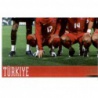 Team Photo 3 Turkey 127 Panini Uefa Euro 2008 Austria Switzerland