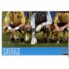 Team Photo 3 Sweden 387 Panini Uefa Euro 2008 Austria Switzerland
