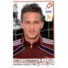 Anders Lindegaard Denmark 201 Panini Uefa Euro 2012 Poland Ukraine